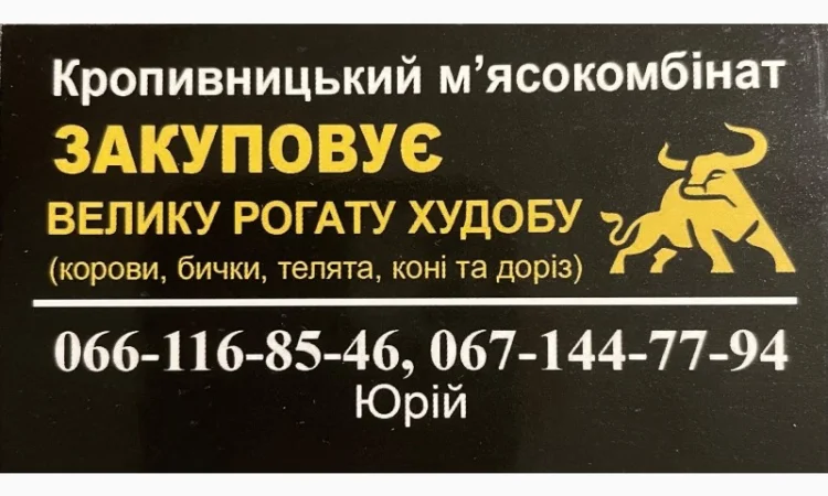 Закупаем ВРХ от населения и фермерских хозяйств - фото № 1