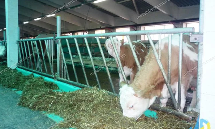 Разделитель для безпривязного содержания животных MetallDreamUA - фото № 12