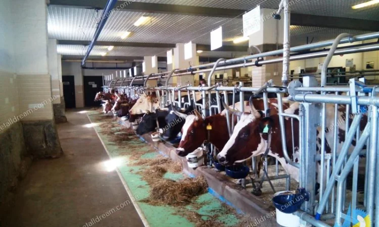 Разделитель для безпривязного содержания животных MetallDreamUA - фото № 14