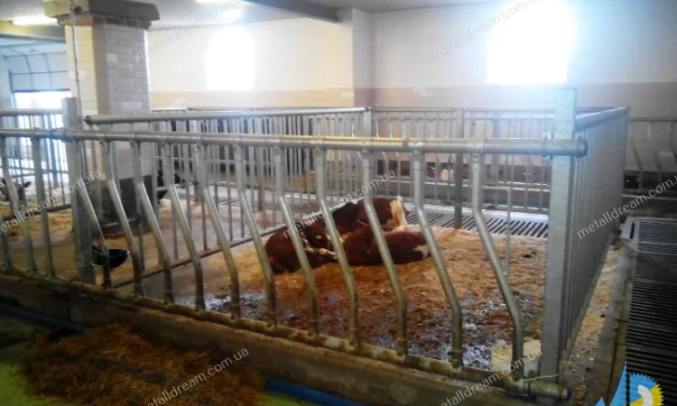 Разделитель для безпривязного содержания животных MetallDreamUA - фото № 16