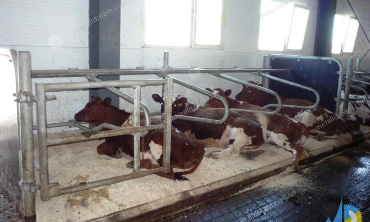 Разделитель для безпривязного содержания животных MetallDreamUA - фото № 7