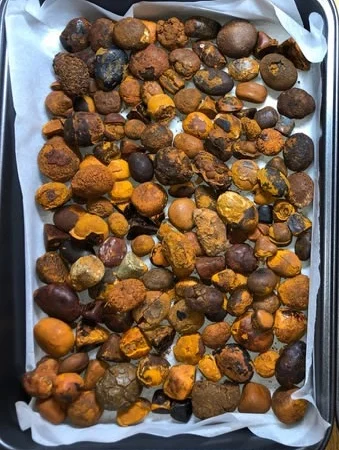 Желчные камни крупного рогатого скота - фото № 1