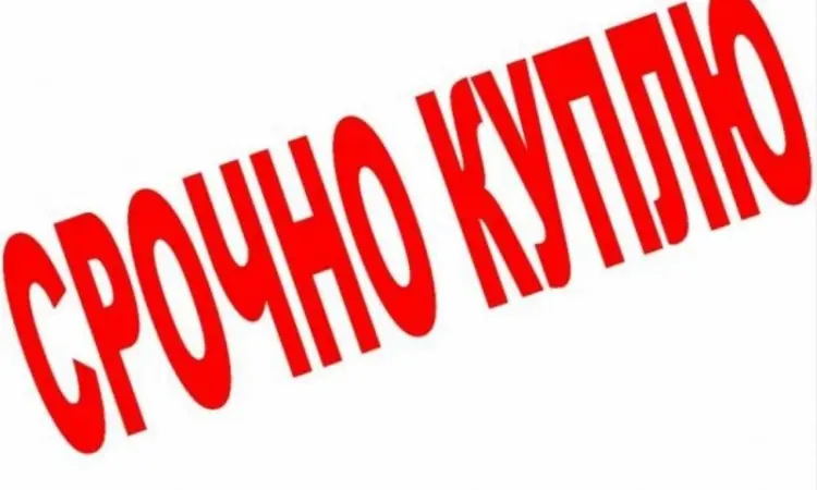 Бычки телята - фото № 1
