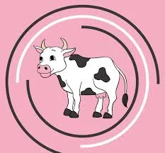 Проводимо закупку телят телок молодняка корів биків - фото № 1