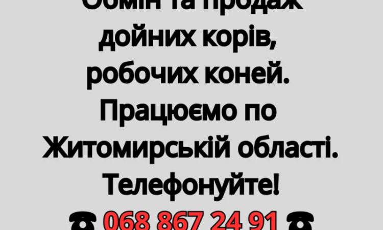 Обмен и продажа дойных коров - фото № 1