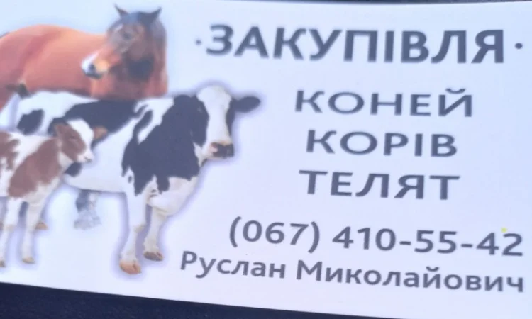 Куплю ВРХ, Корів, Коней, Дорізів молодняк - фото № 1