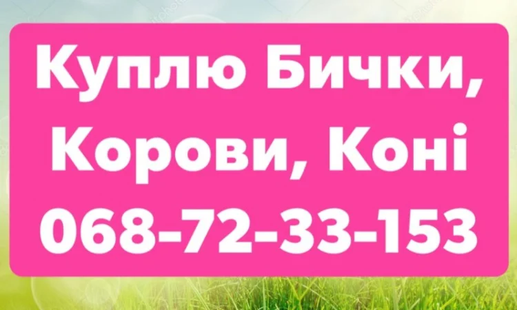 Купую ВРХ та Коні (Жмеринка, Літин, Бар, Хмільник) - фото № 1