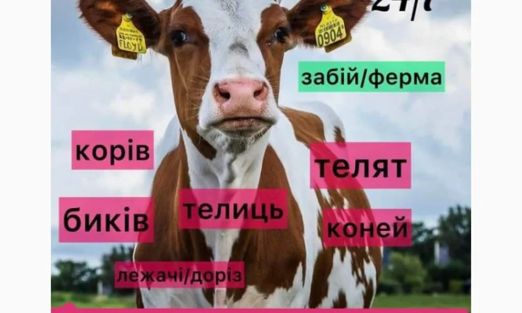 Закупiвлю врх - фото № 1