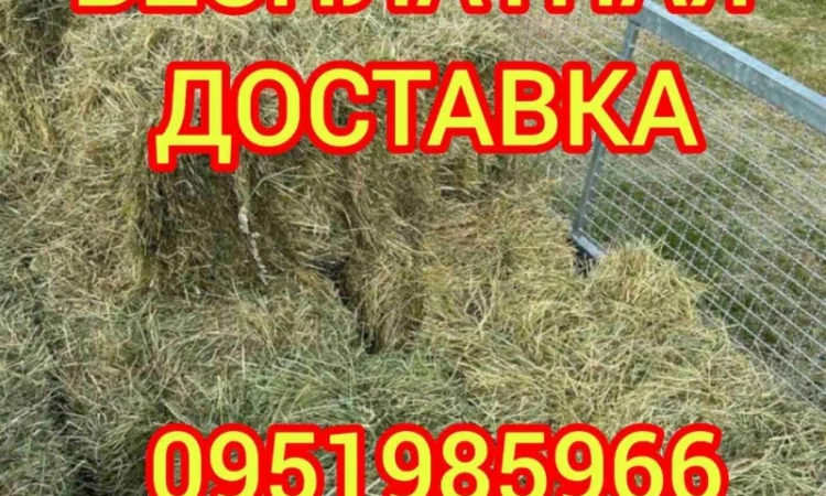 Сено луговое, люцерна с бесплатной доставкой - фото № 2