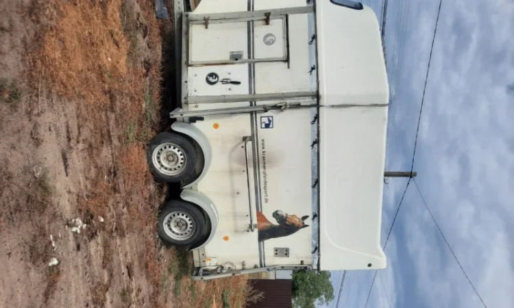 Лошади перевозка - фото № 1