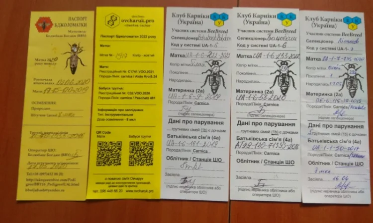 Бджоломатки Карніка F1 неплідні - фото № 2