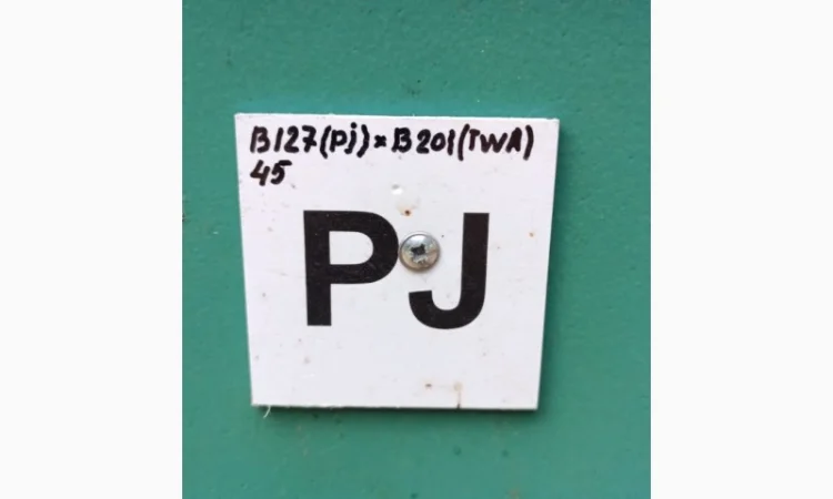 Buckfast бджоломатки - фото № 1