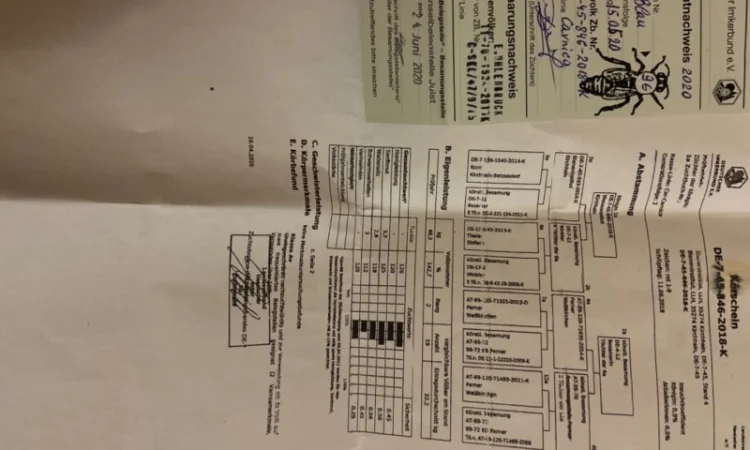 Продам Карнику - фото № 2