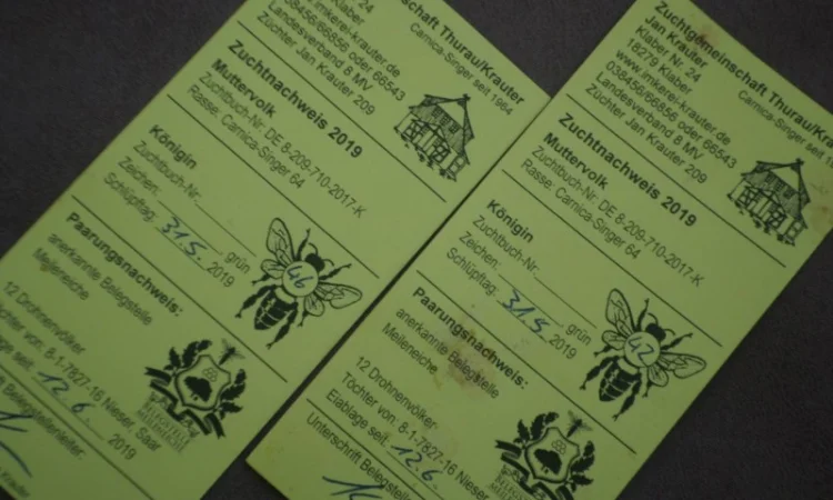 Пчеломатки породы Карника от племенного производителя - фото № 4