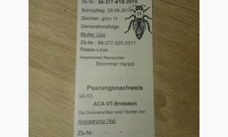 Матки породи Carnica - фото № 3