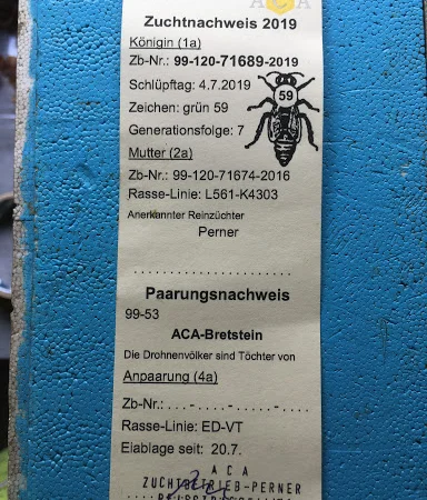 Бджоломатки Карніка F-1 з Німеччини та Австрії – в наявності - фото № 5