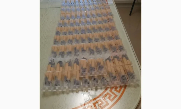 Продам високоякісні матки Карпатки - фото № 1