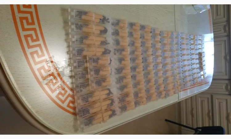 Високоякісні бджоли – матки карпатки від провідного розплідника Закарпаття - фото № 4