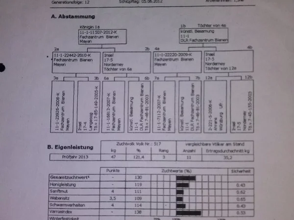 Carnica - фото № 1