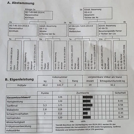 Carnica - фото № 2