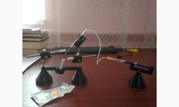 Пчеломатки ИО карника, мигрельская популяция кавказской линии - фото № 1