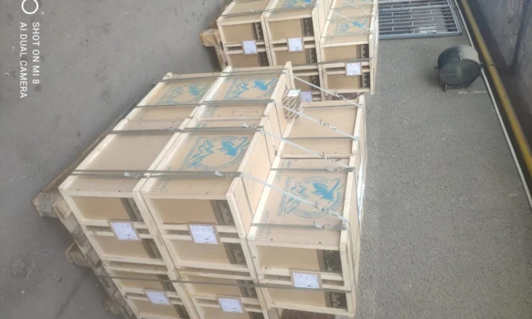 Пропонуються бджолопакети карпатської породи 2025 року - фото № 1