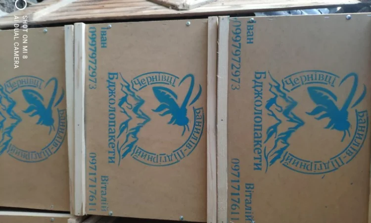 Пропонуються бджолопакети карпатської породи 2025 року - фото № 4