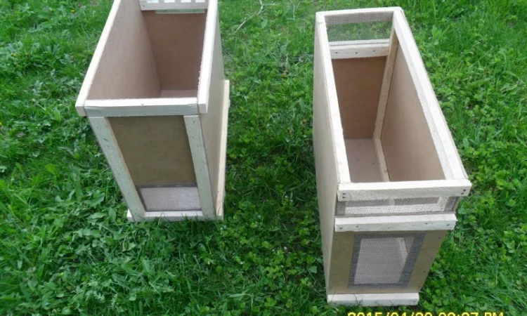 Пчелопакеты с молодыми пчеломатками Карпатской породы — доставка по всей Украине - фото № 7