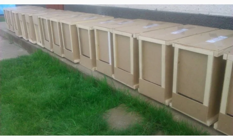 Сотові бджолопакети Карпатка – можливість відправки - фото № 1