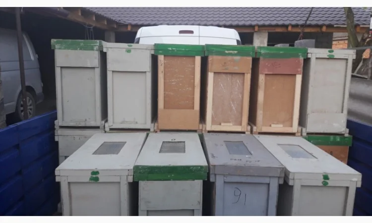 Пропоную бджолопакети карпатської породи на 2025 рік - фото № 1