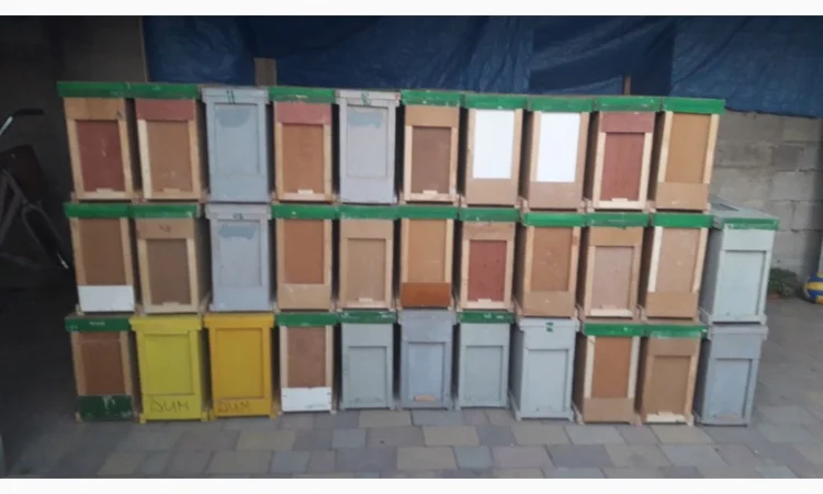 Пропоную бджолопакети карпатської породи на 2025 рік - фото № 3