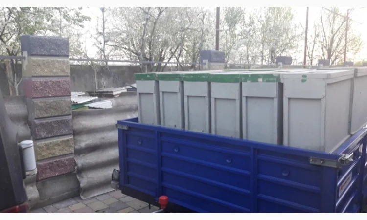 Пропоную бджолопакети карпатської породи на 2025 рік - фото № 4