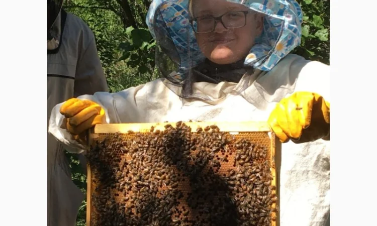 Продаются пчелопакеты Карника - фото № 1