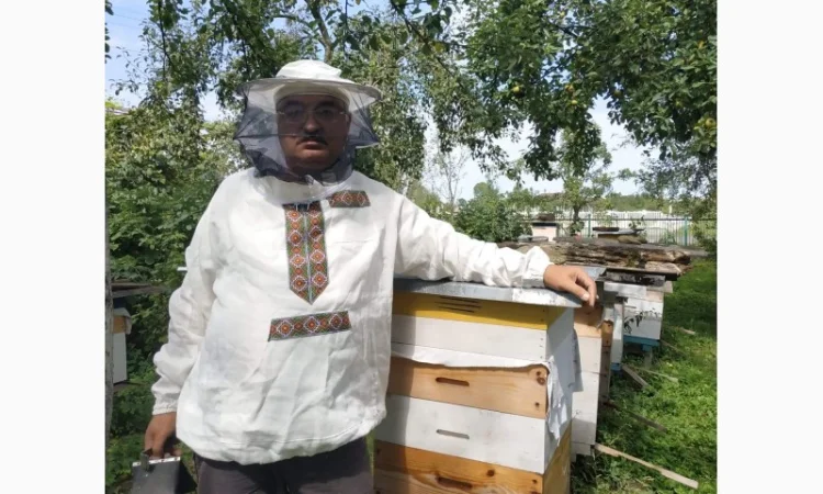 Продаются бджолопакеты карпатки и карніки - фото № 1