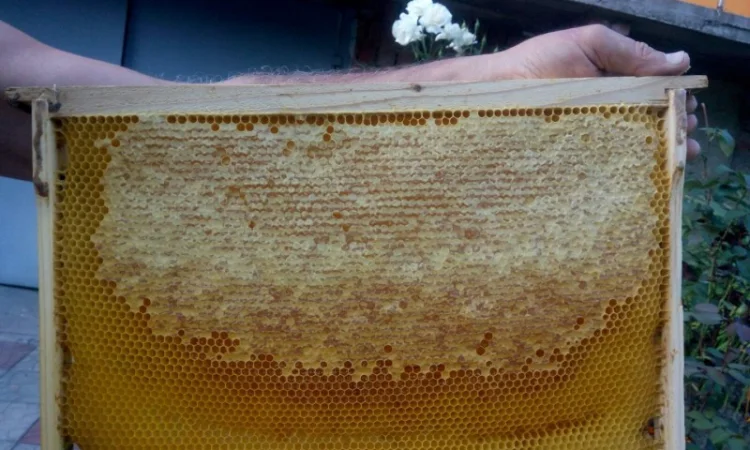 Бджолопакети - фото № 3