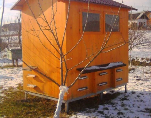 Продам бджолопакети - фото № 1