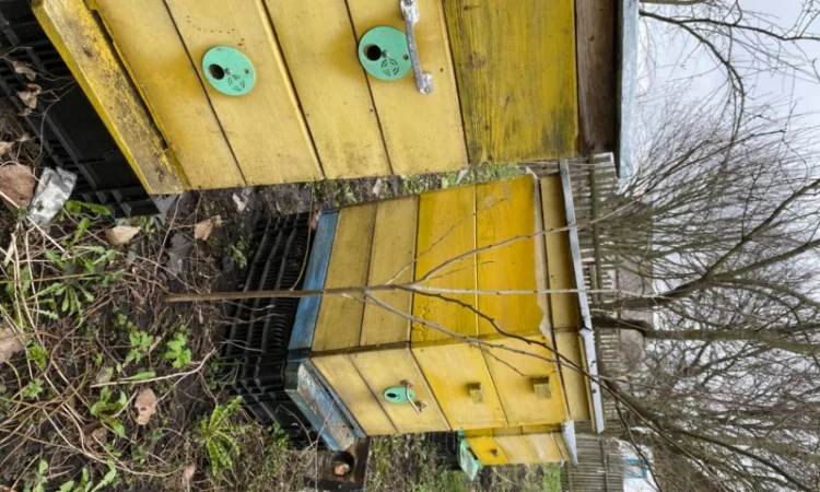 Продам бджолосім’ї різних рамок - фото № 1