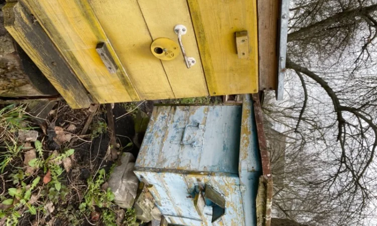 Продам бджолосім’ї різних рамок - фото № 2