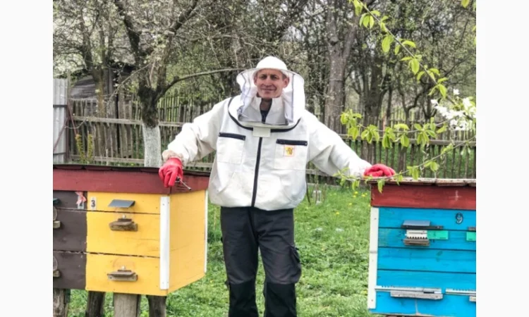 Бджоли, відводки, рої та свіжий мед - фото № 2