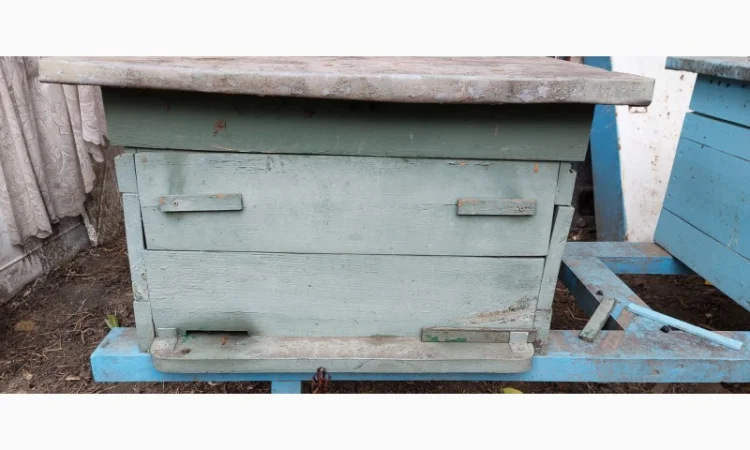 Продам пчелосемьи с уликами - фото № 1