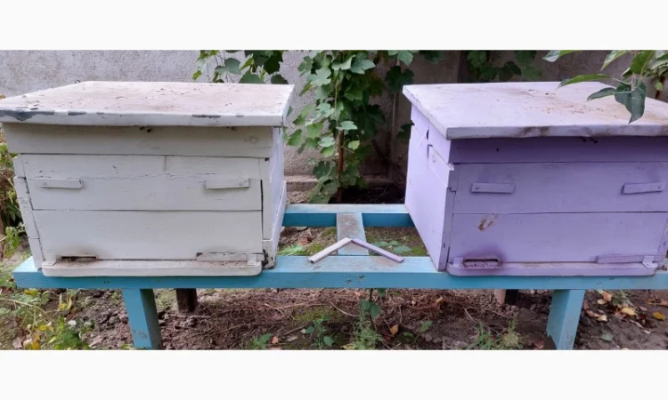 Продам пчелосемьи с уликами - фото № 2