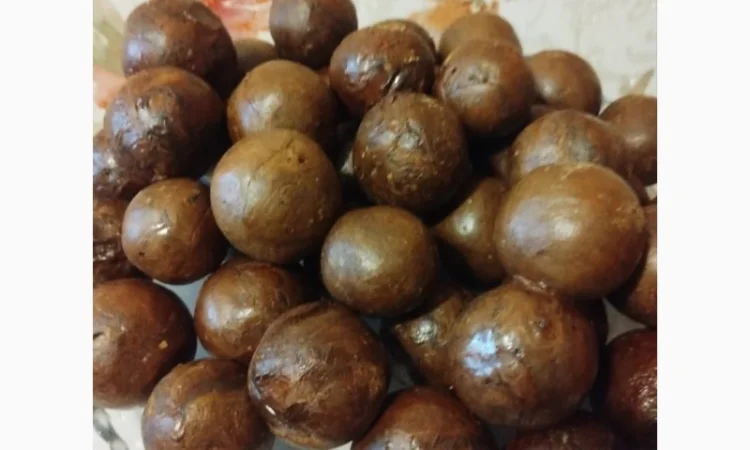 Продам бджолосім'ї та бджолопакети для пасік - фото № 1