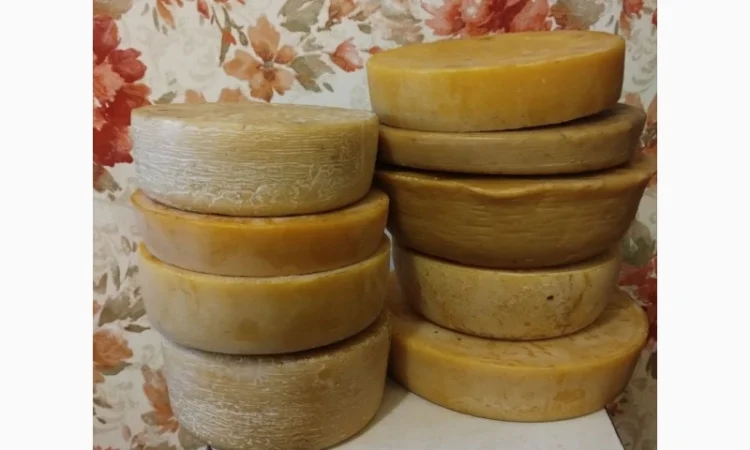 Продам бджолосім'ї та бджолопакети для пасік - фото № 2