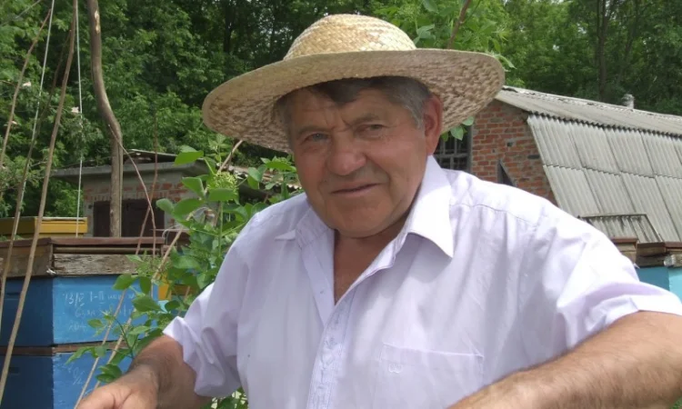 Продам бджолині сім’ї на 10 рамок - фото № 1