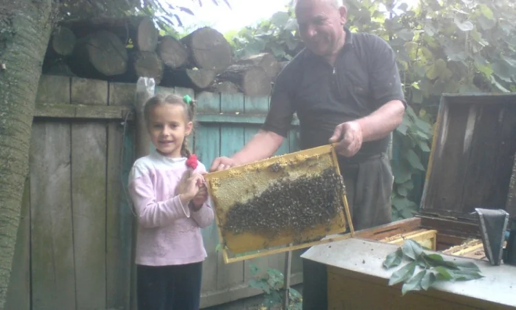 Продам бджолосімї - фото № 1