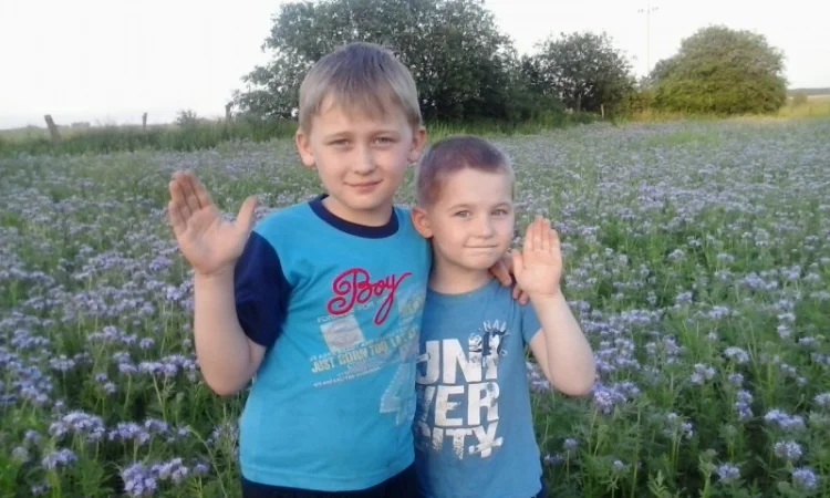 Продам бджолосім’ї Карпатка - фото № 1