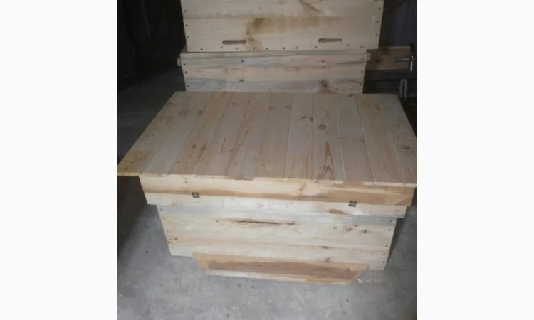 Продам бджолосім’ї та вулики (лежаки на 24 рамки) - фото № 3