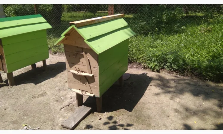 Вулики з бджолами - фото № 2