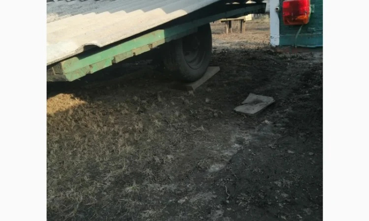 Продам діючу, здорову, пасіку 5 шт., лікувальний вулик та будиночок бджоляра на колесах - фото № 12