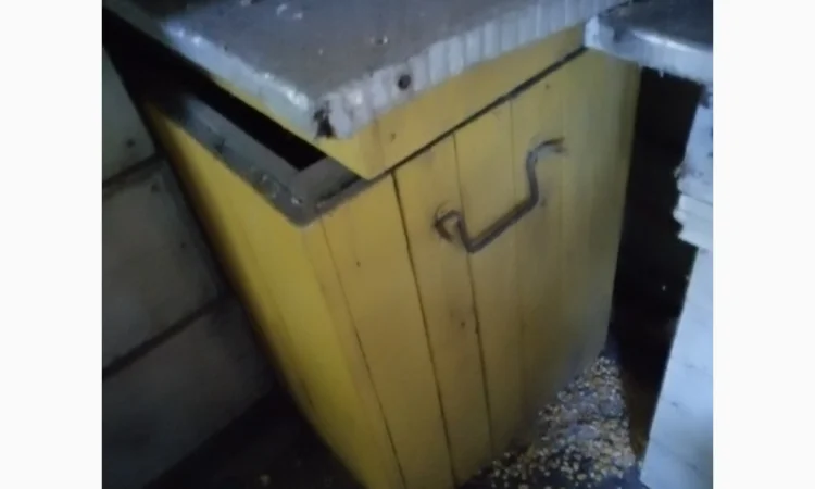 Продам діючу, здорову, пасіку 5 шт., лікувальний вулик та будиночок бджоляра на колесах - фото № 5